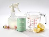 Borates, Borax, and Boric Acid: Are They Safe?