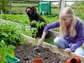 Cocoa Bean Mulch Can Poison Dogs