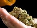 Medical Marijuana Poisoning in Kids