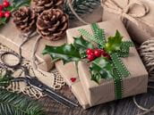 Holly Berries: A Beautiful Decoration But a Poisonous Snack