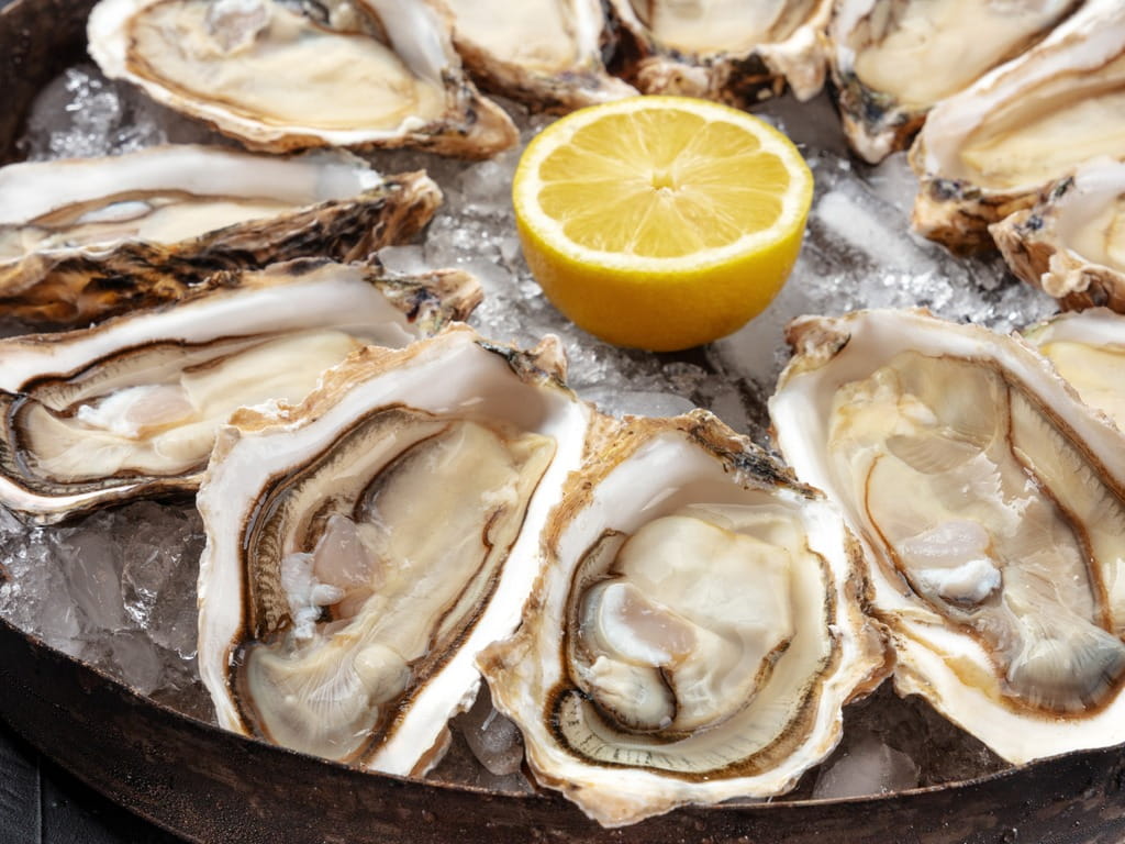 Are Raw Oysters Safe To Eat During Pregnancy Poison Control