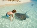 Prevention & Treatment of Stingray Injuries